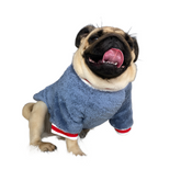 Pet sweater